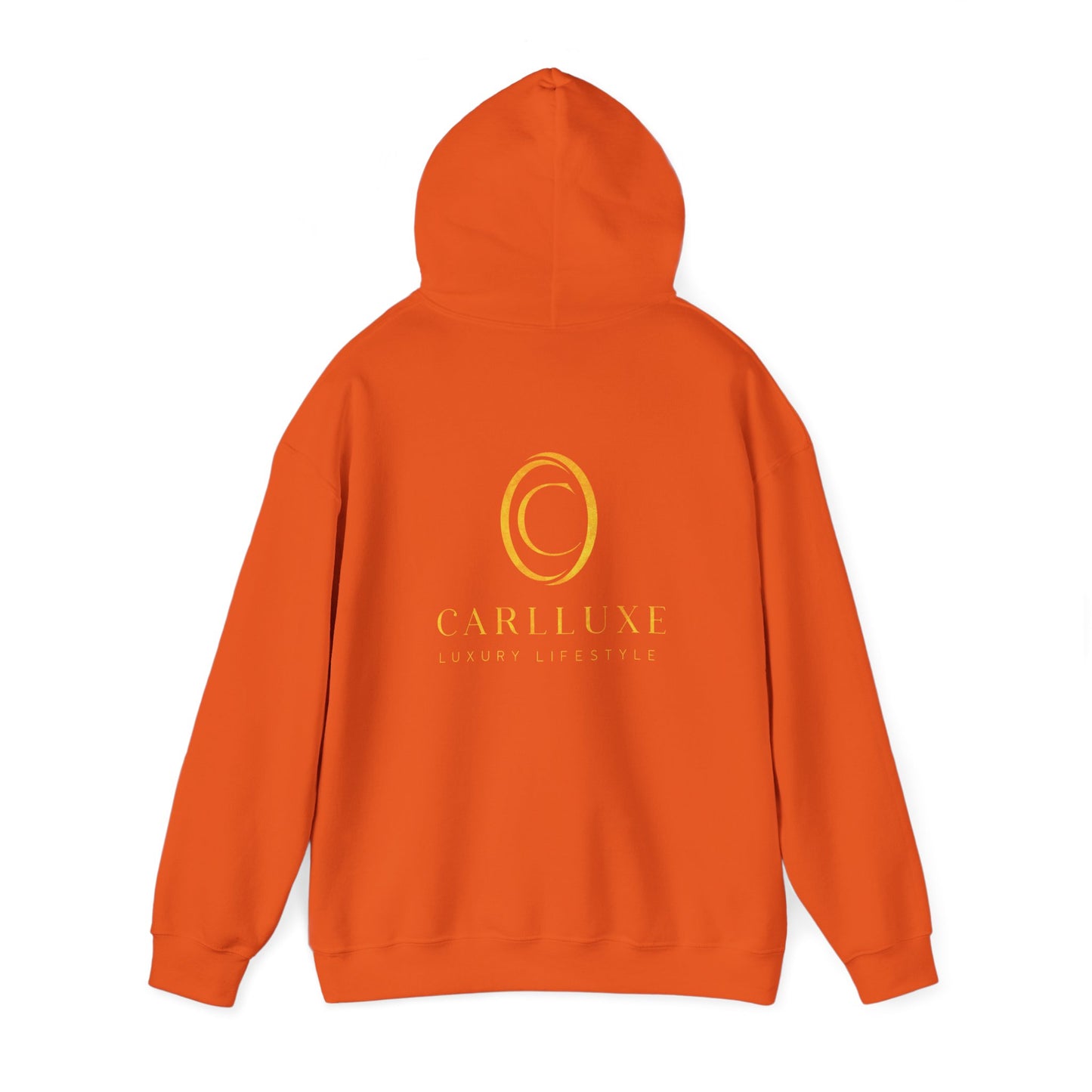 Carlluxe's  gold design Hoodie - 'I Will Always Shine'