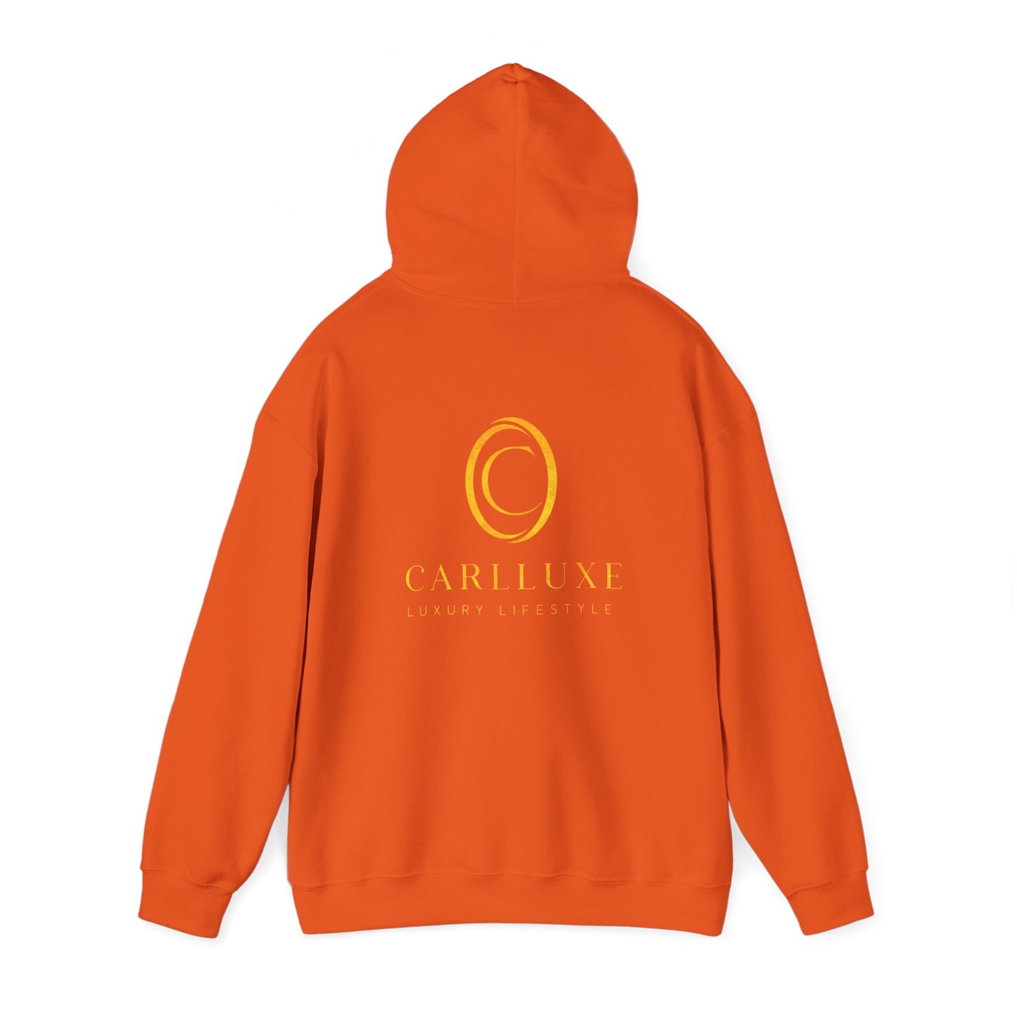 CarlLuxe Inspirational Unisex Hoodie  - "Gold Design"